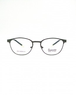 Casanova Metal / Plastic Frame