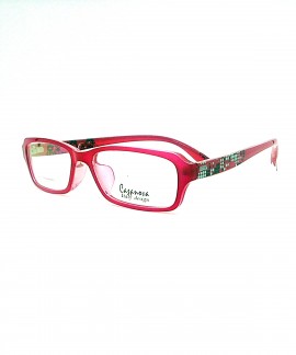 Casanova TR90 Memory Frames
