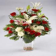 red rose