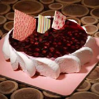 blueberry cheese cake 500gms cake delivery