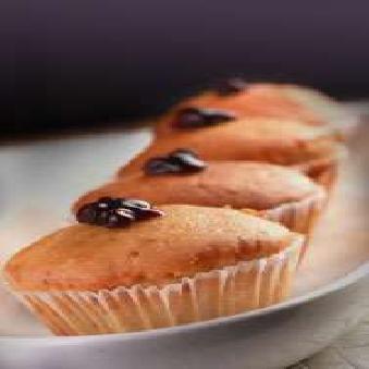 Blueberry Muffens 4PCS